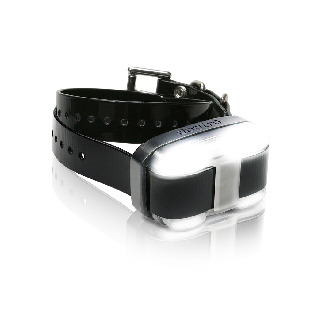 Dogtra Edge Remote Training System