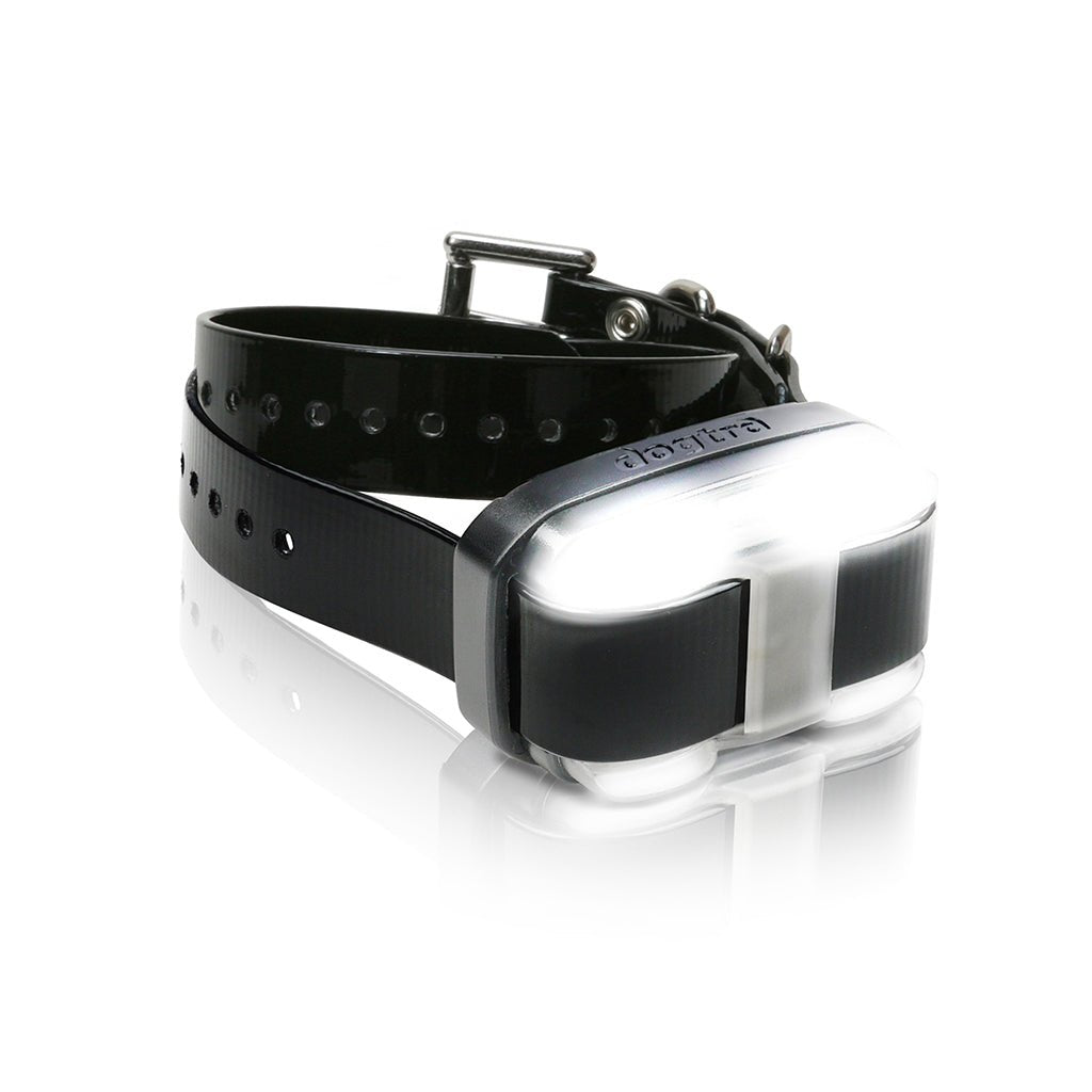 Dogtra Edge Remote Training System