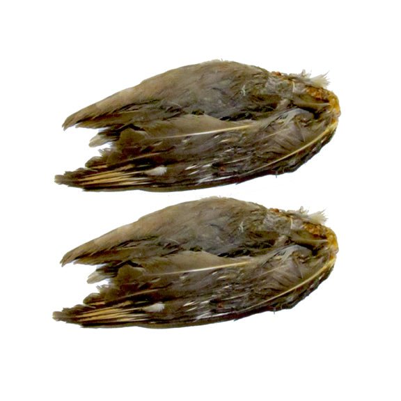 Classic T Designs Freeze Dried Chukar Wings – Hunting Dog Supply