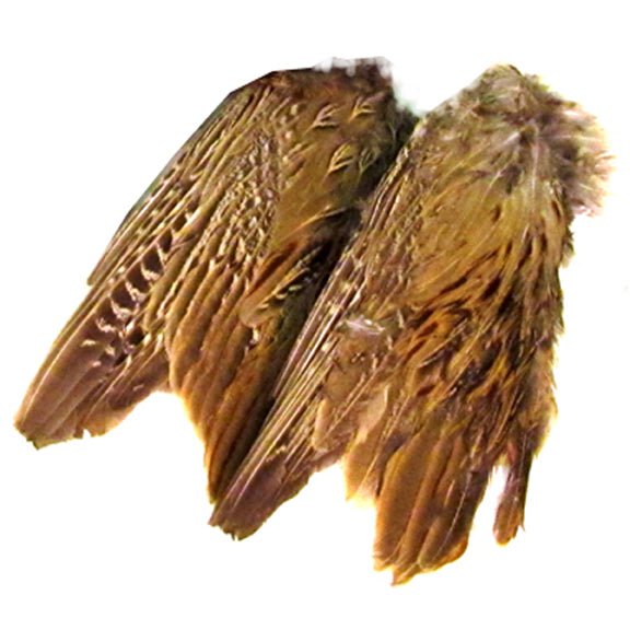 Classic T Designs Freeze Dried Pheasant Wings – Hunting Dog Supply