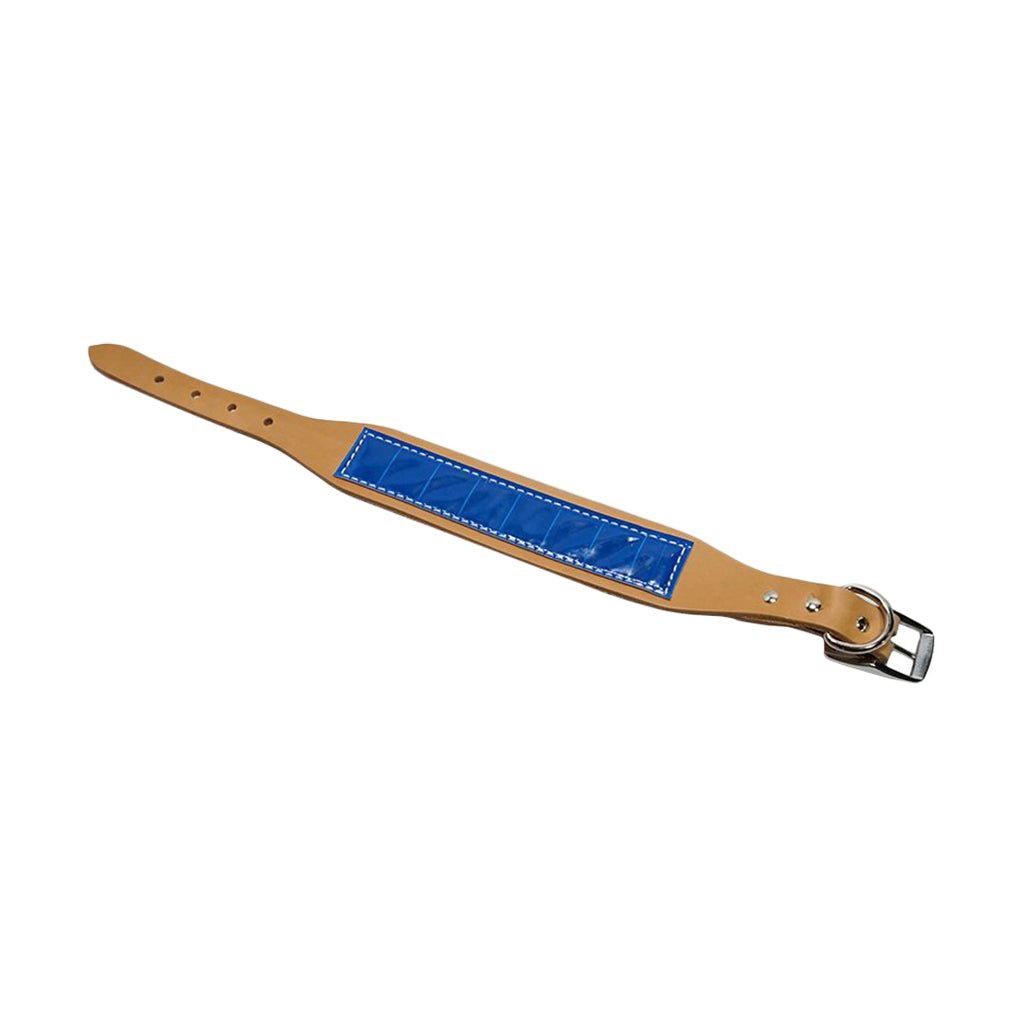 LCS Field Trial Collar