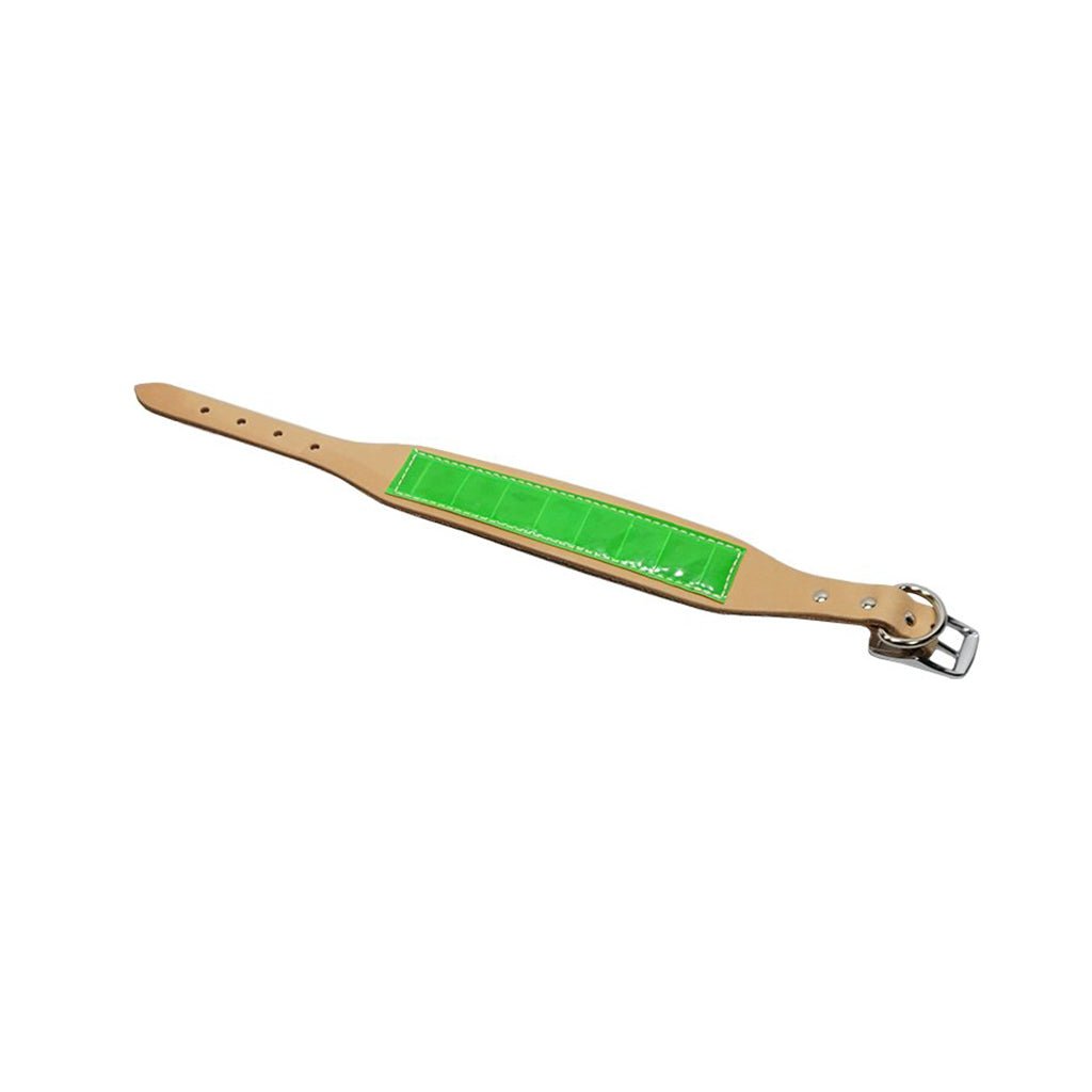 LCS Field Trial Collar