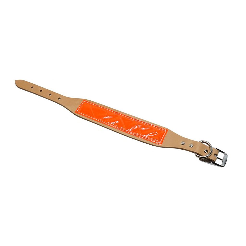 LCS Field Trial Collar
