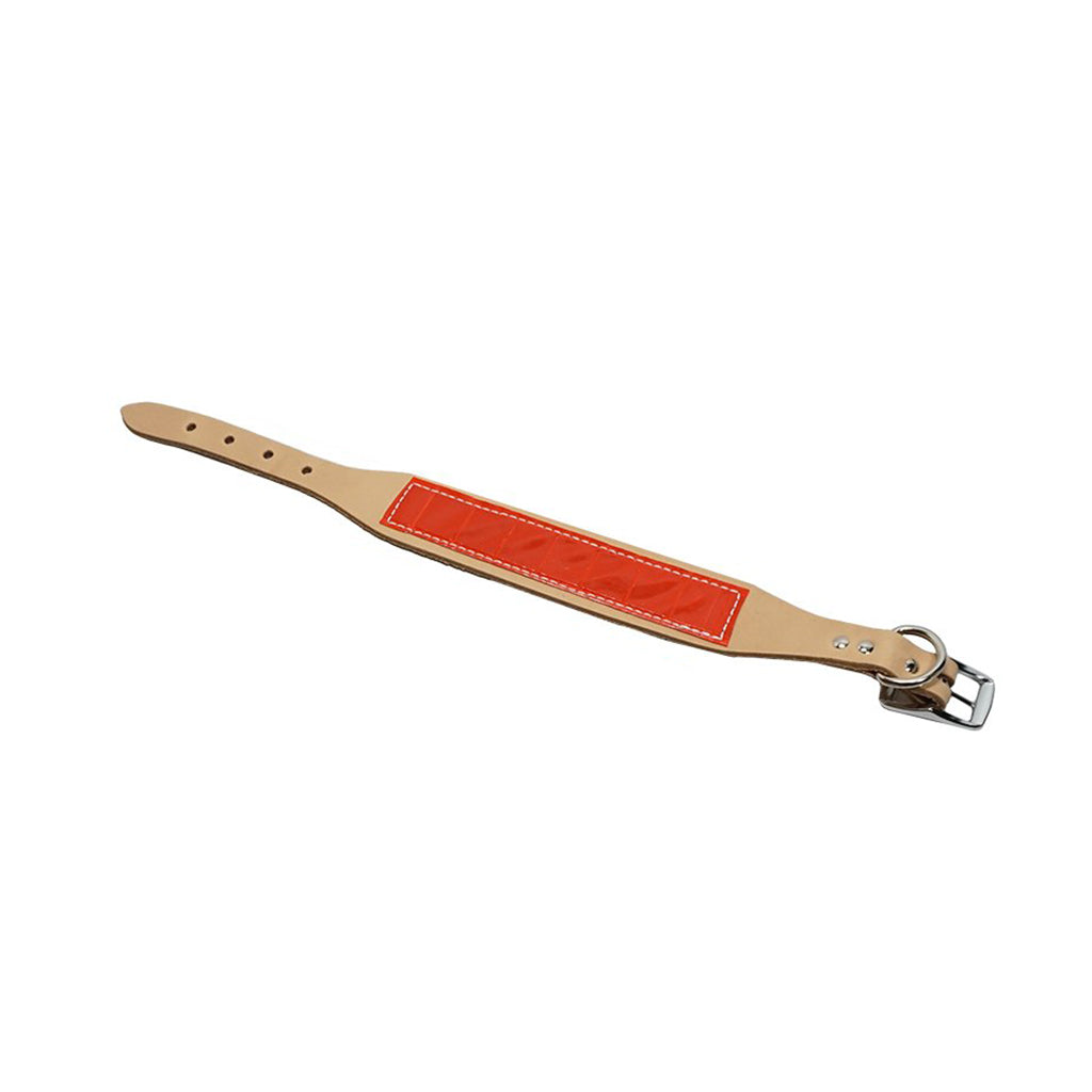 LCS Field Trial Collar