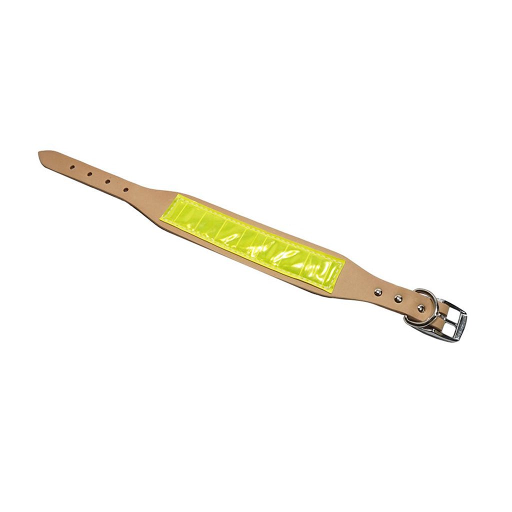 LCS Field Trial Collar