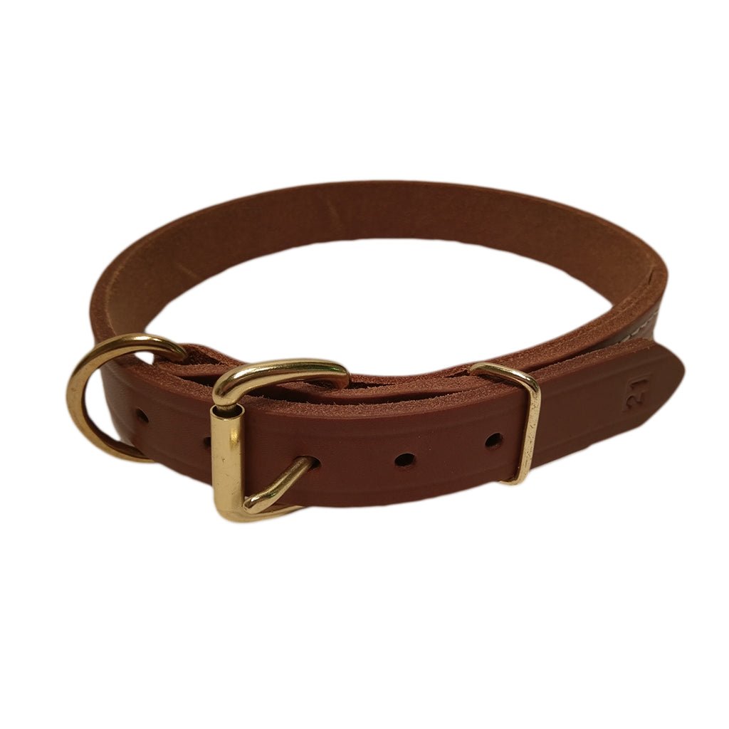 Omnipet LCS Grand National Championship 1" D-Ring Collar – Hunting Dog Supply