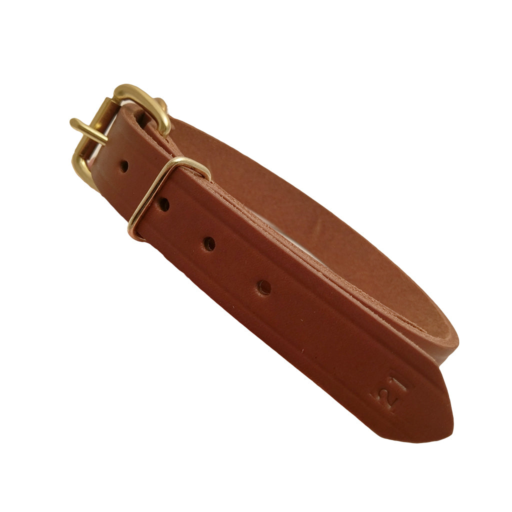 LCS Grand National Championship 1" D-Ring Collar