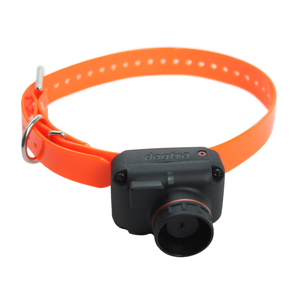 Dogtra Dogtra T&B Dual Extra Collar – Hunting Dog Supply
