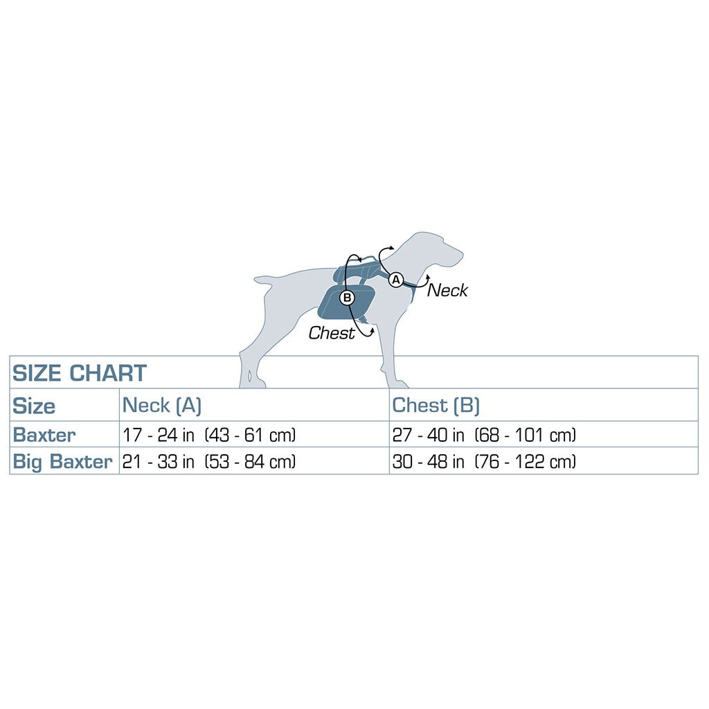 Kurgo Big Baxter Backpack