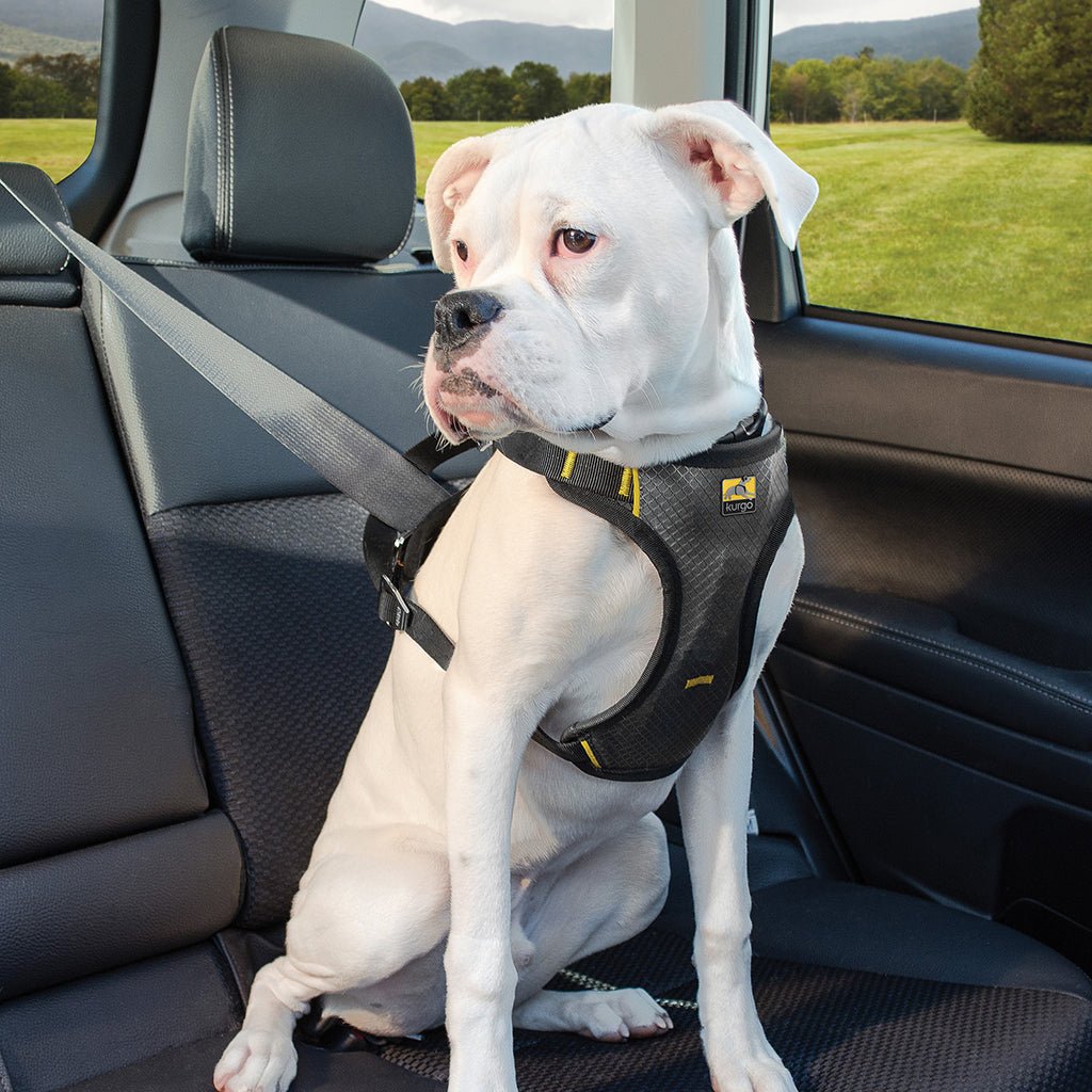 Kurgo Impact Dog Seatbelt Harness