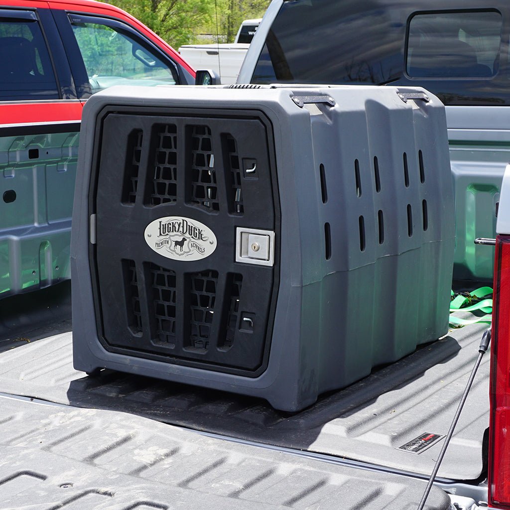 Lucky Duck Intermediate Dog Kennel