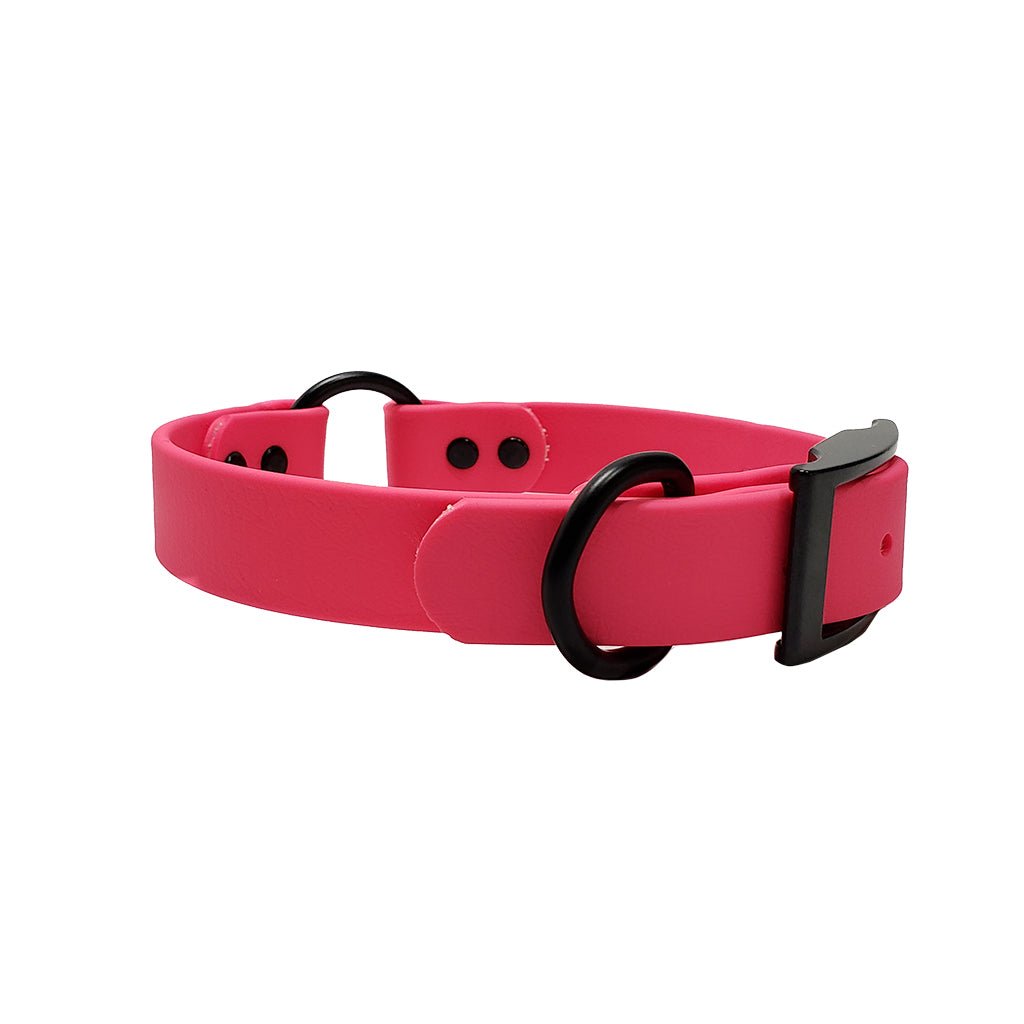 LCS Leather Feel 1" Collar with Black Hardware