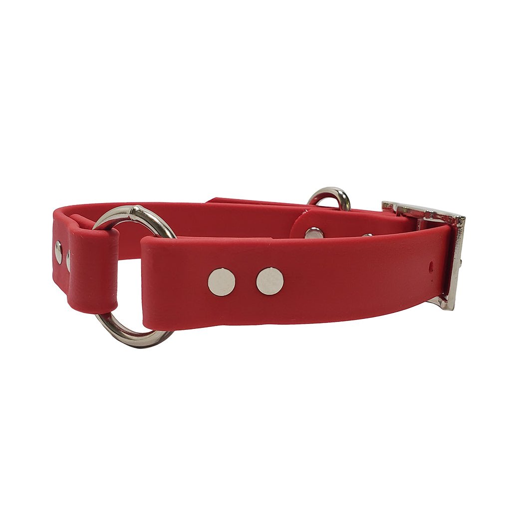 LCS Leather Feel 1" O-Ring Collars