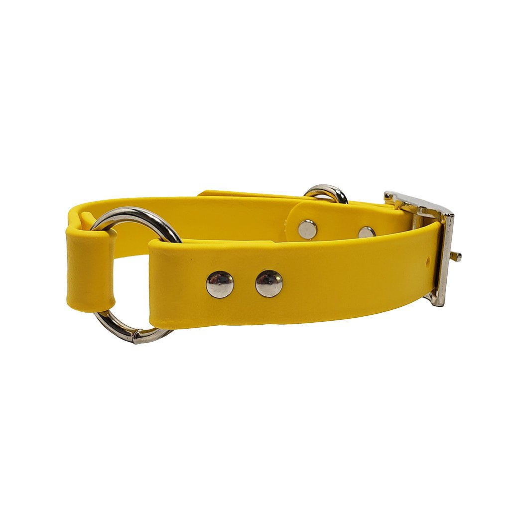 LCS Leather Feel 1" O-Ring Collars