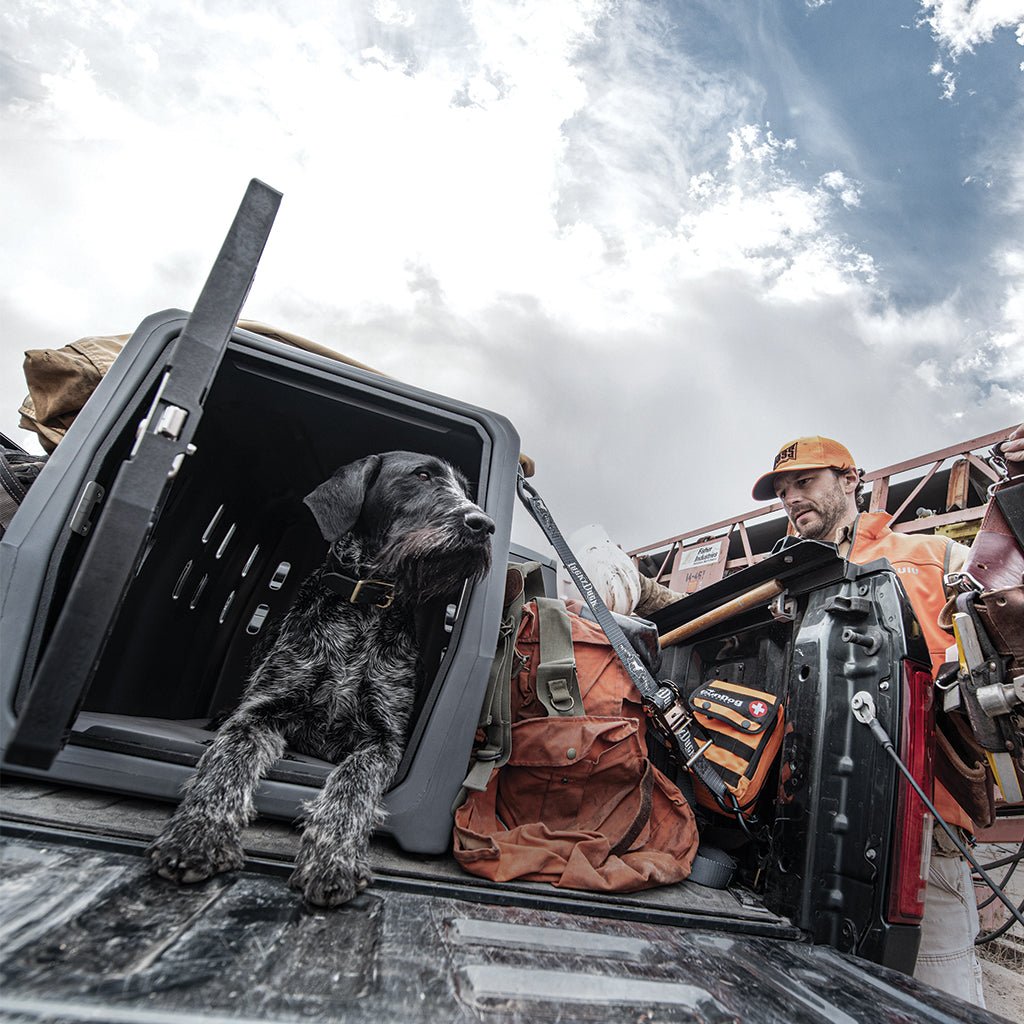 Lucky Duck Intermediate Dog Kennel