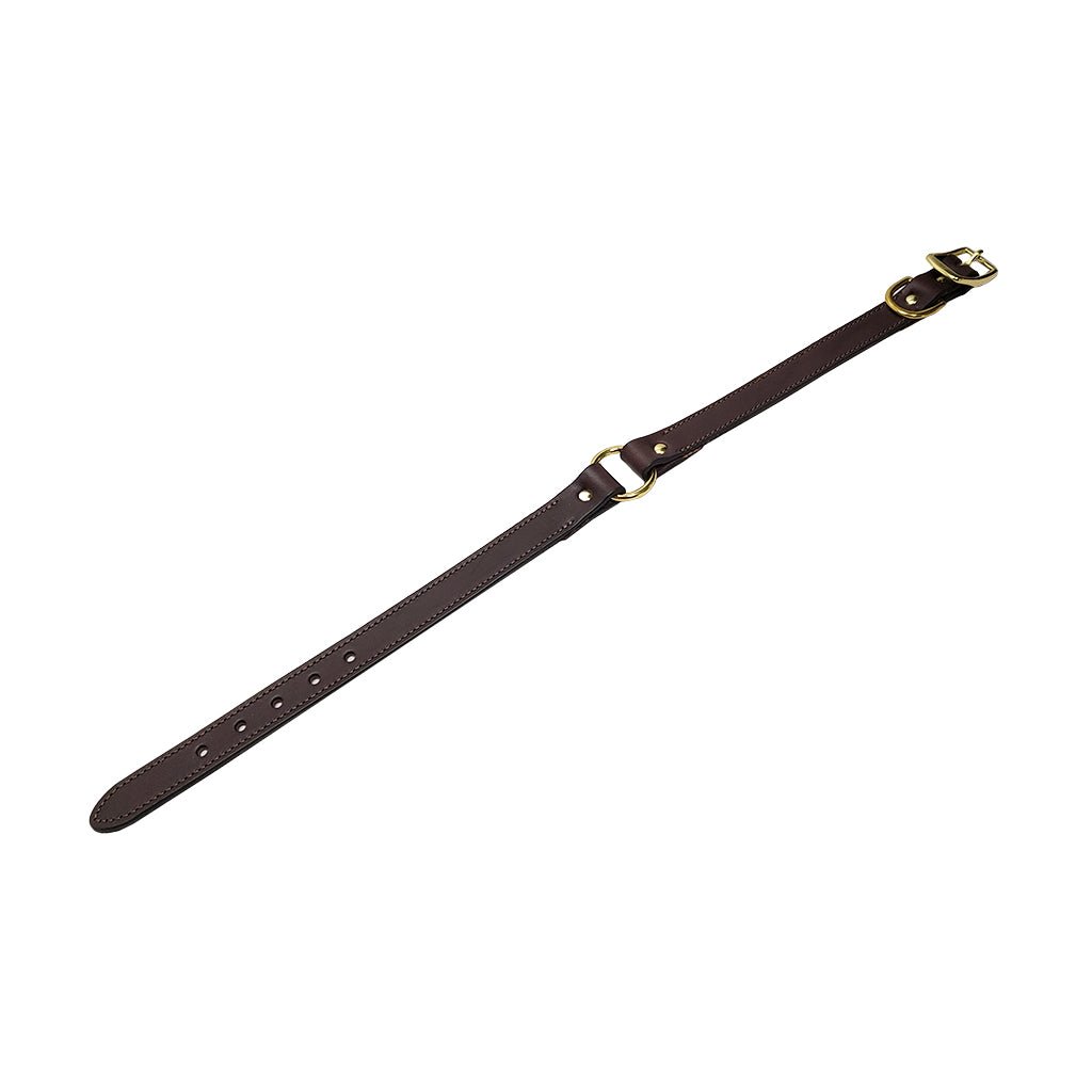 LCS Premium Leather Collar 1 Inch O-Ring