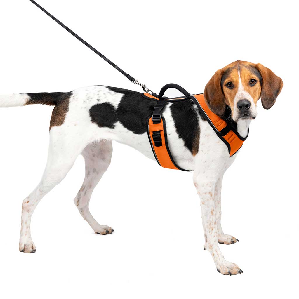 Petsafe Easy Sport Harness