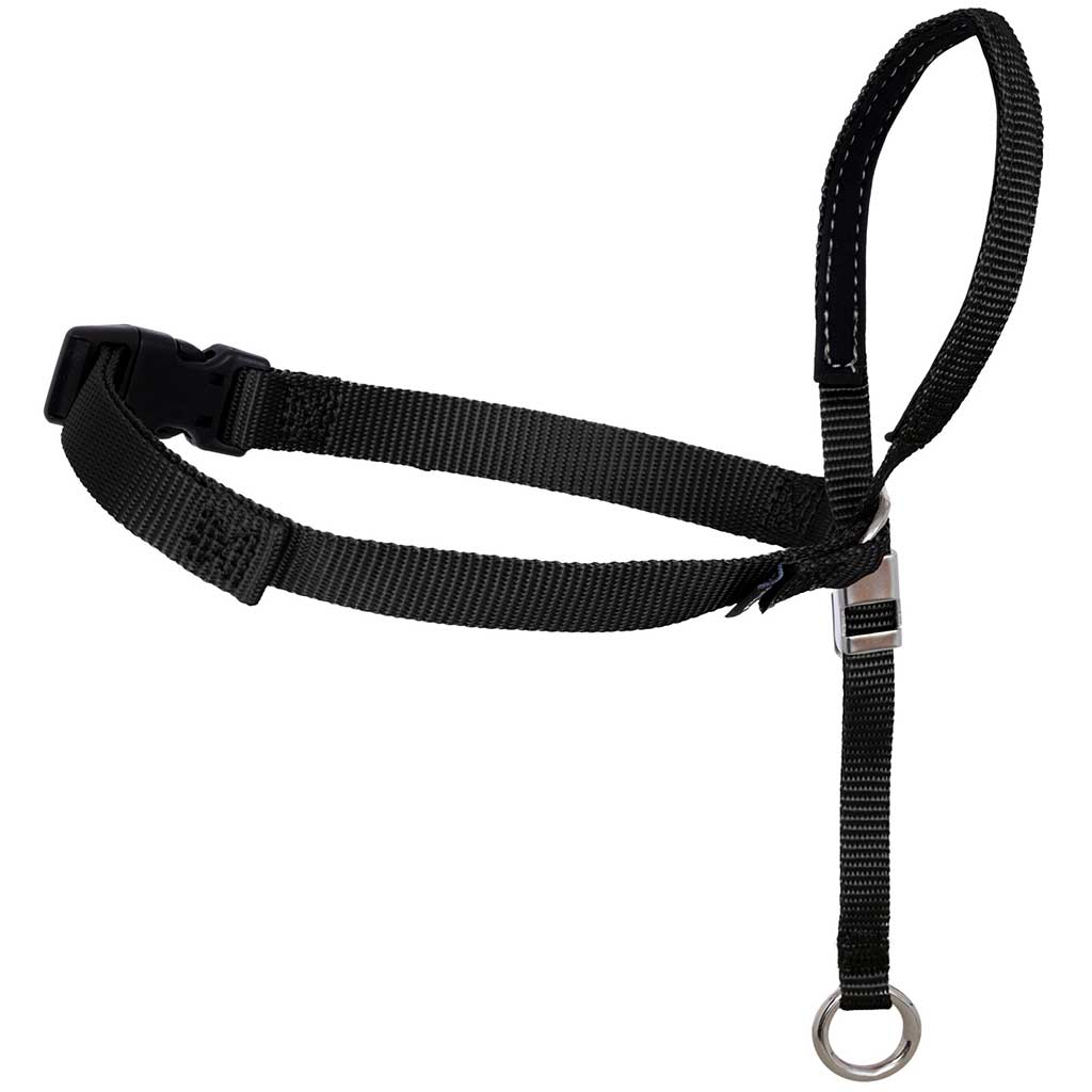 Petsafe Petsafe Gentle Leader Headcollar Quick Release – Hunting Dog Supply