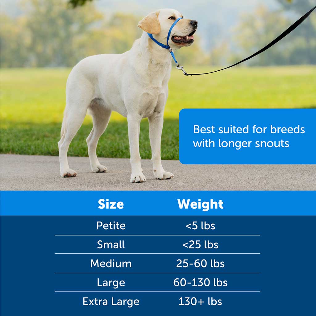 Petsafe Gentle Leader Headcollar Quick Release