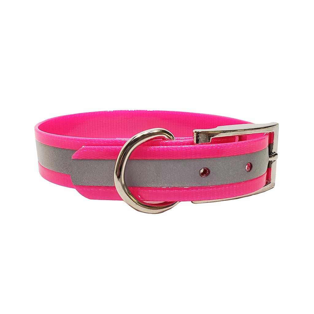 LCS Reflective Dayglo 1 Inch D-Ring Collar