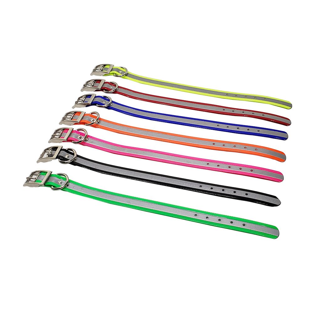 LCS Reflective Dayglo 1 Inch D-Ring Collar