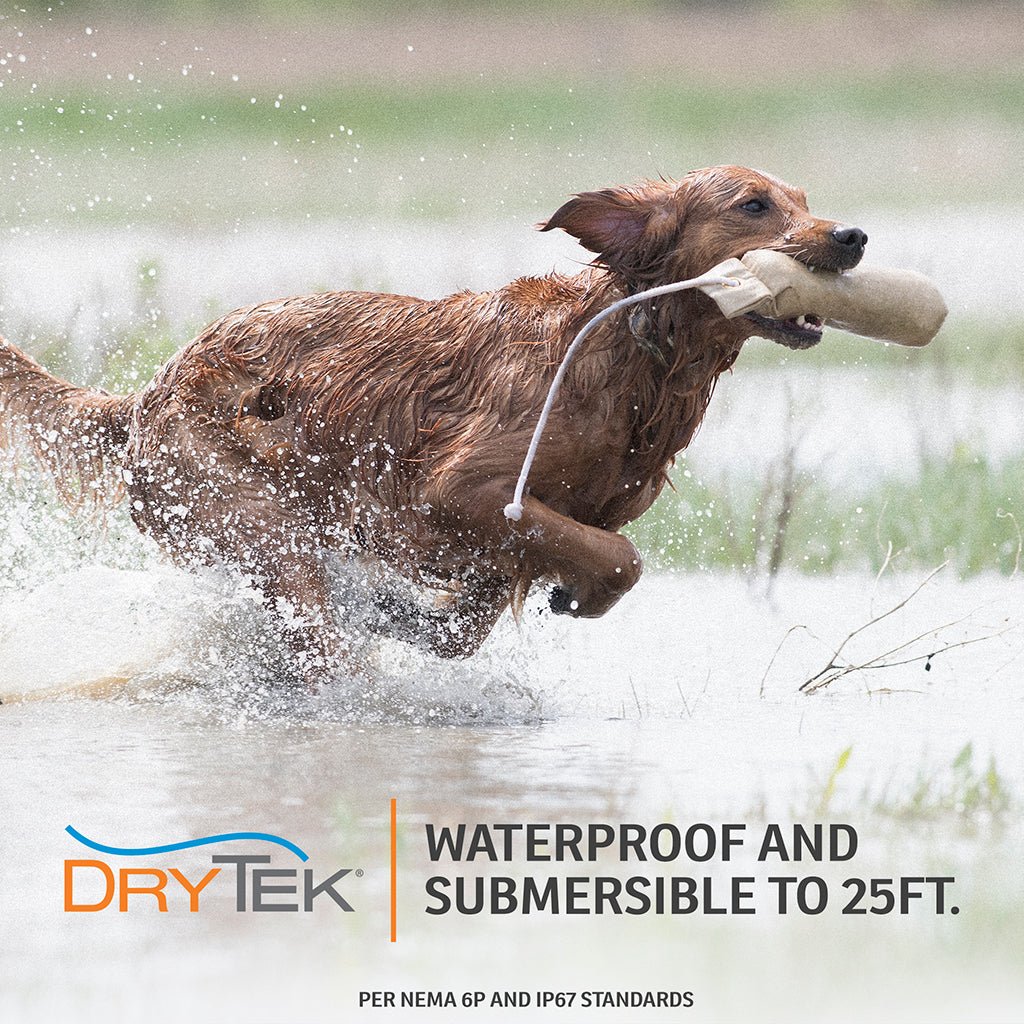 SportDOG SD1825 WETLANDHUNTER X-Series