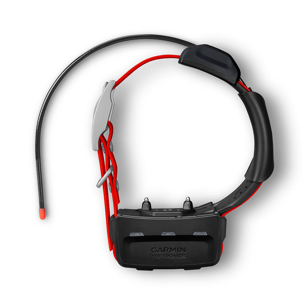 Garmin Garmin TT15X Tracking and Training Collar – Hunting Dog Supply