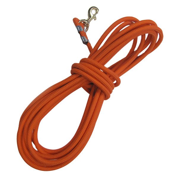 Lion Country Supply LCS Custom Check Cord – Hunting Dog Supply