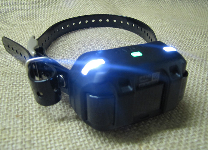 Garmin Tri-Tronics PRO 550 System