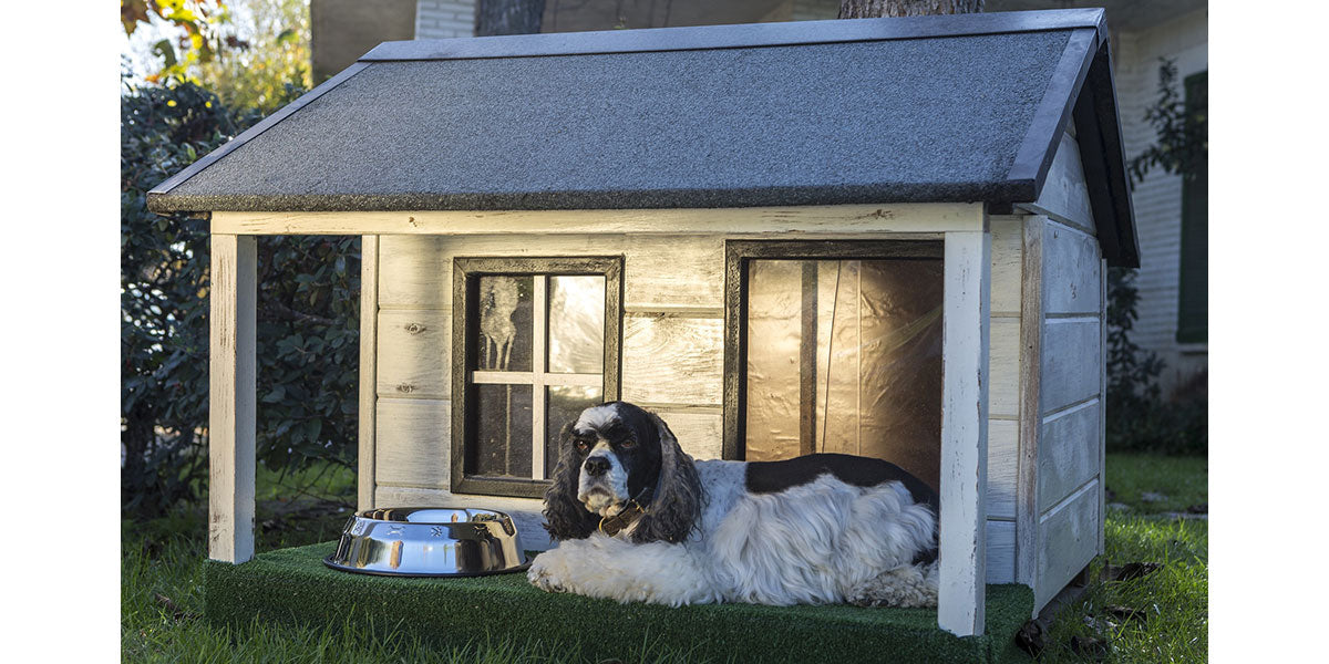 How to Heat a Doghouse and Keep Your Pup Warm All Winter