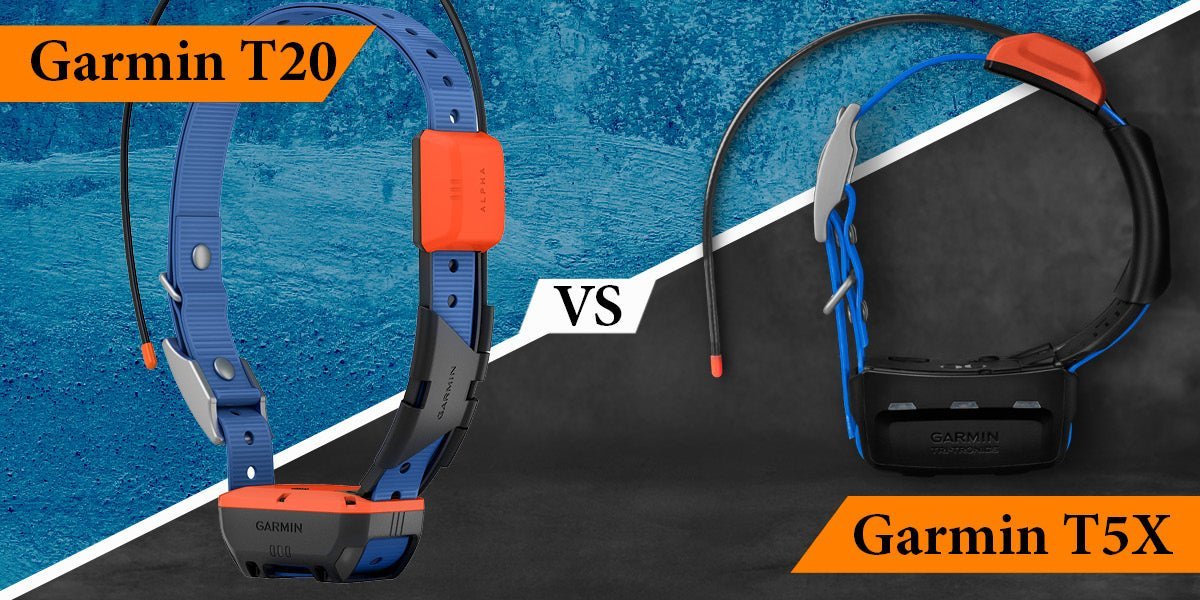 Garmin T20 vs T5 Series Collar Review - Lion Country Supply