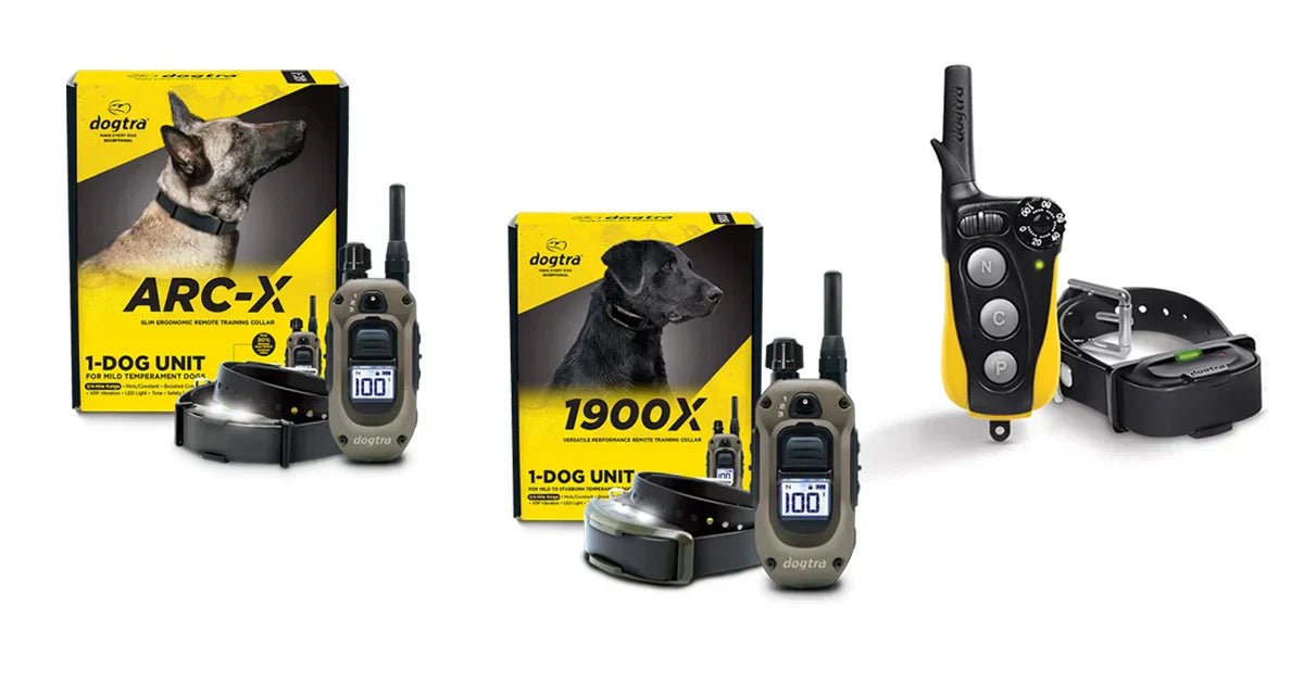 best dogtra e-collars 2025