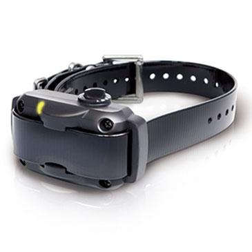 No Bark Collars