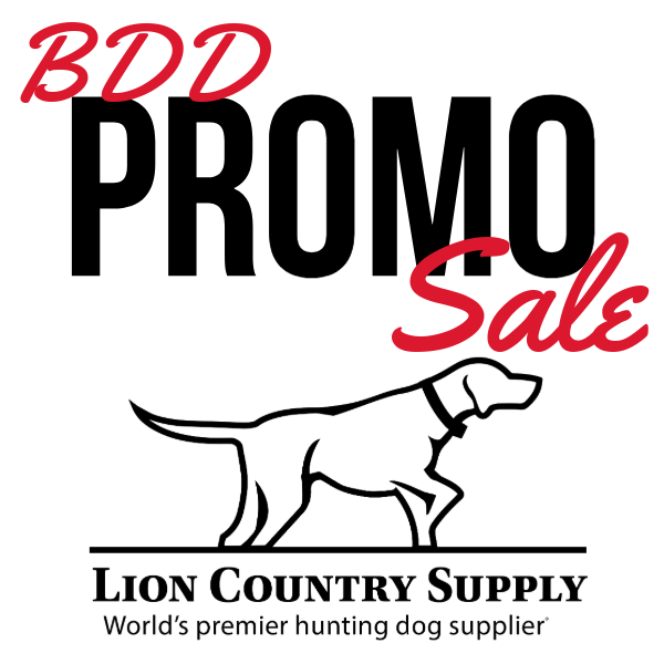 BDD2025 Discount Eligible
