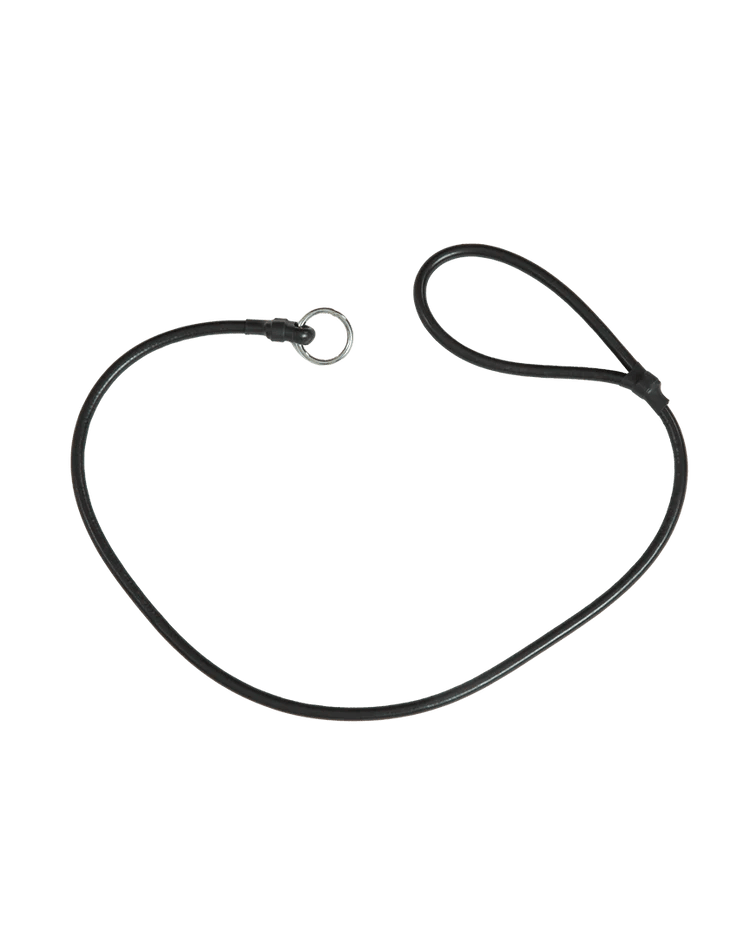 Avery Polyester Slip Lead - Lion Country Supply