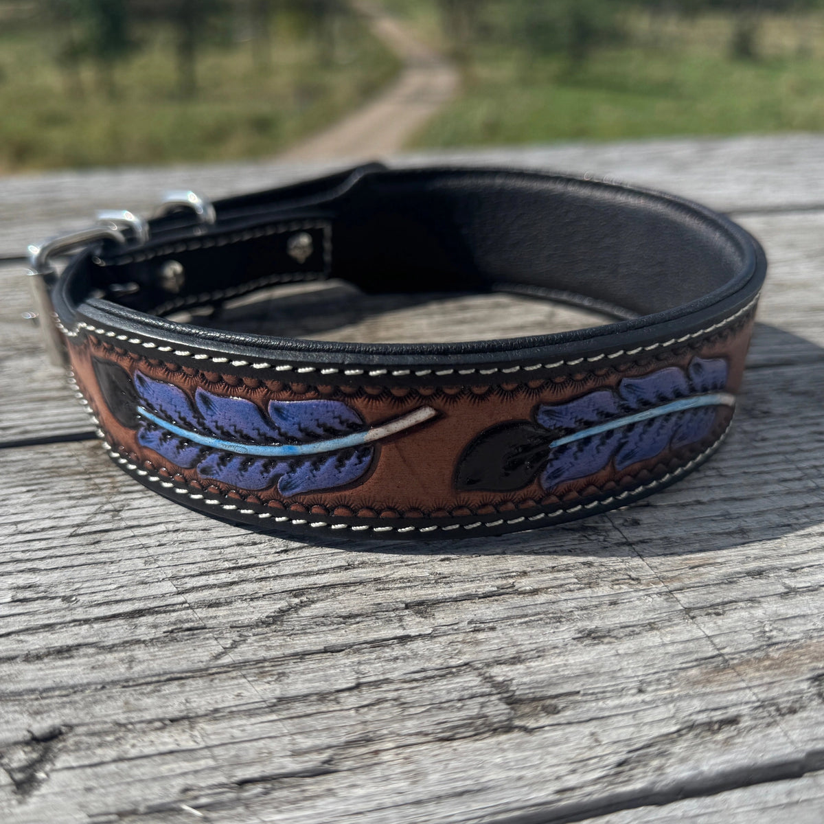 Hand - Tooled & Painted Leather Dog Collars - Lion Country Supply