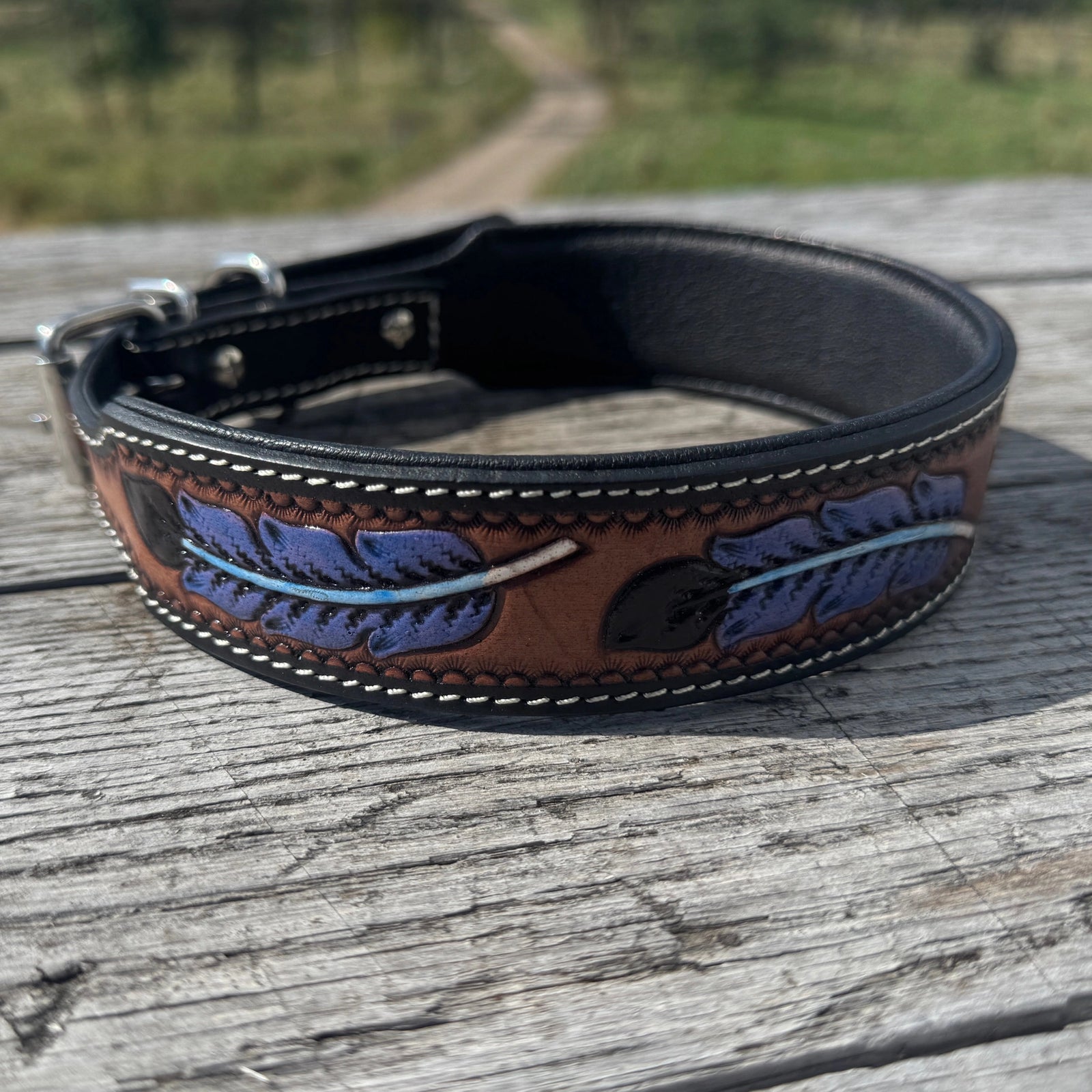 Hand - Tooled & Painted Leather Dog Collars - Lion Country Supply