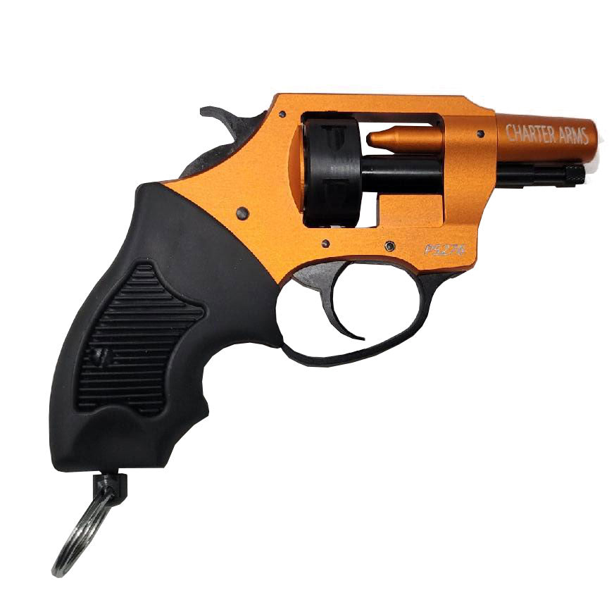 Charter Arms Charter Arms Pro 22 Blank Pistol – Hunting Dog Supply