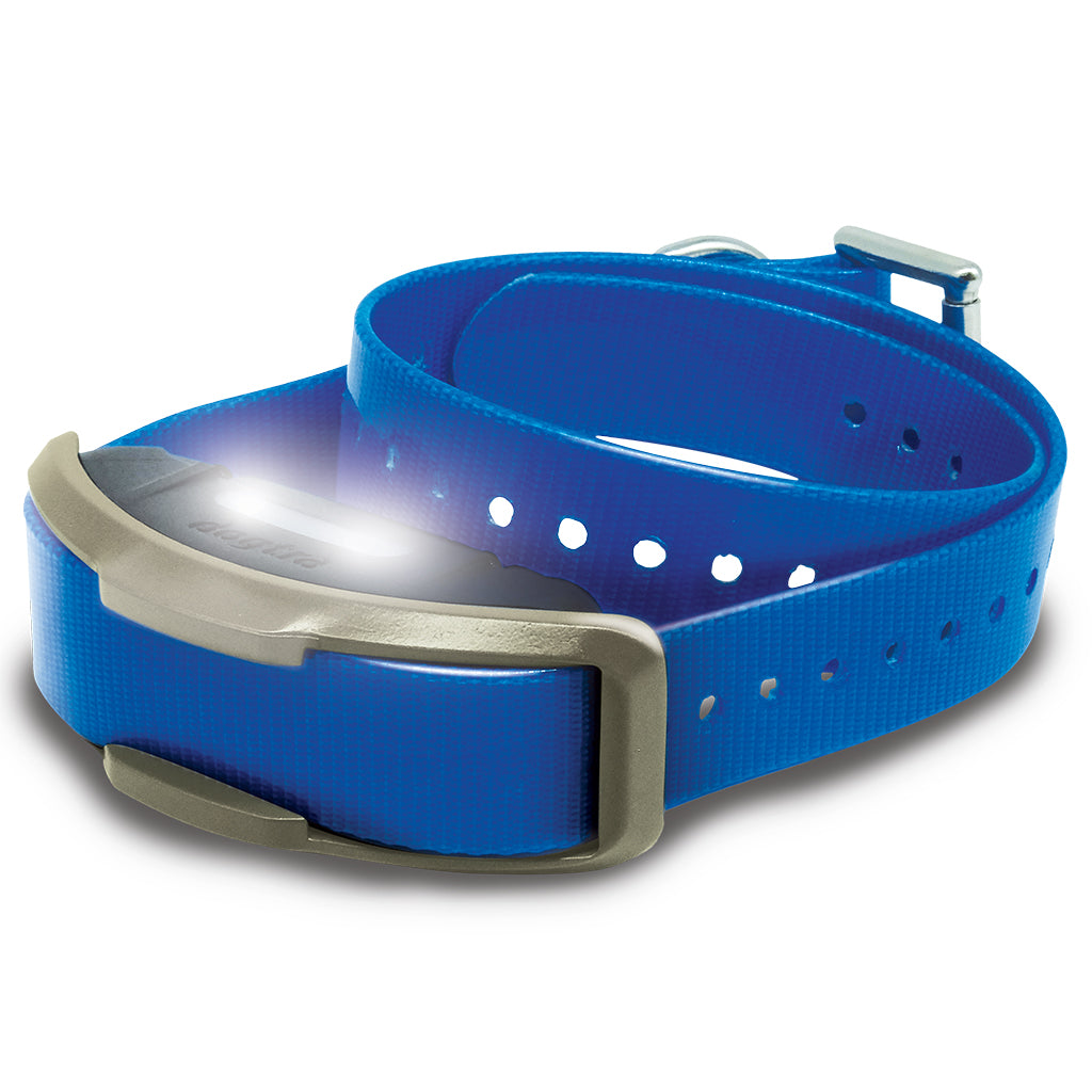 Dogtra 1900X Additional Receiver