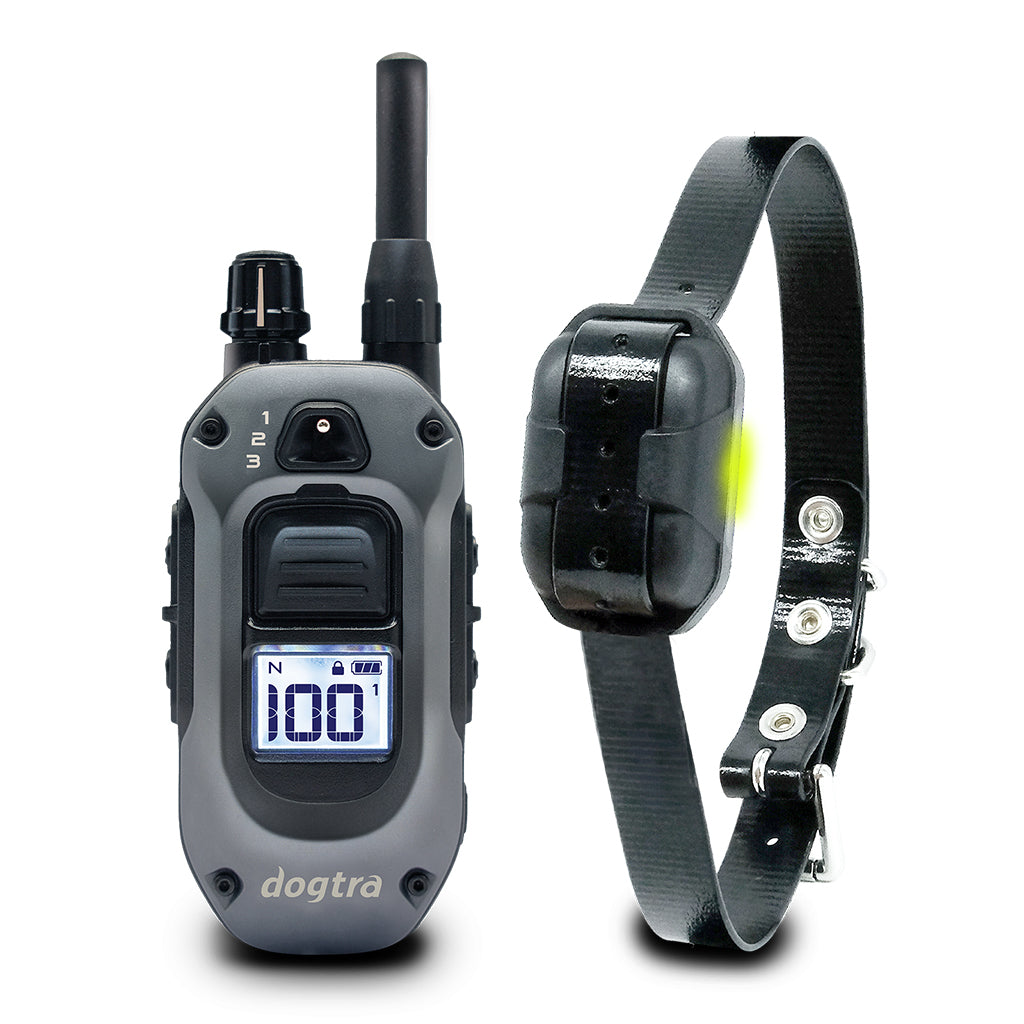 Dogtra 280X 2-Dog E-Collar System