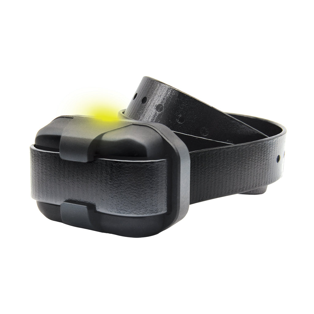 Dogtra Dogtra 280X Additional Receiver – Hunting Dog Supply