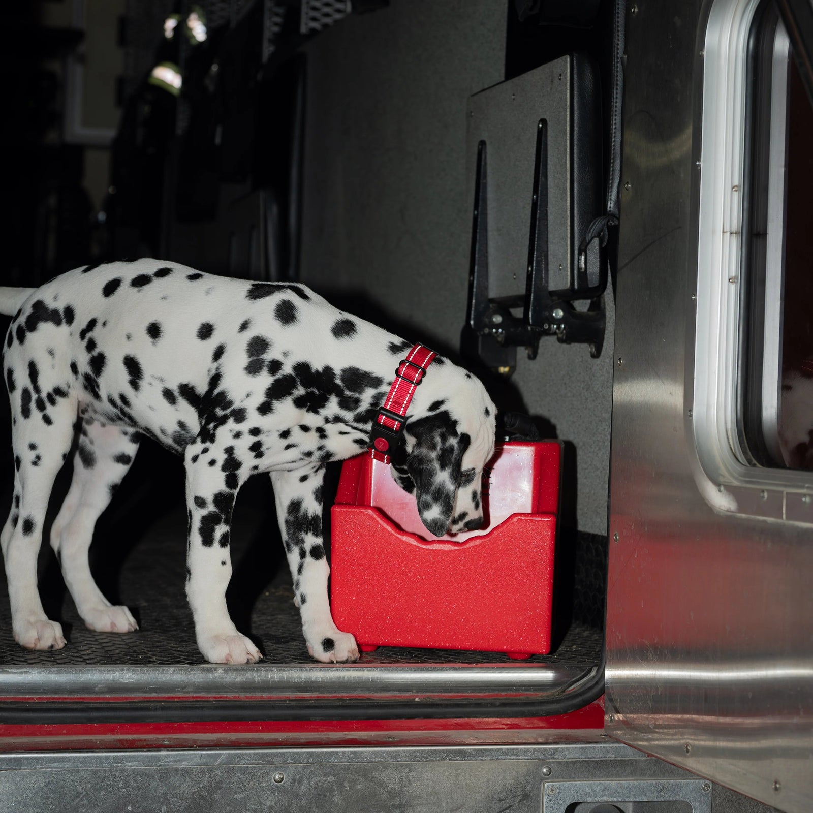 Limited Edition Fire Engine Red Ruff Land Kennel Water Hole spill-resistant dog water bowl