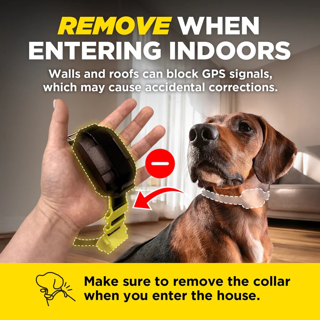 Dogtra GPS Wireless Fence