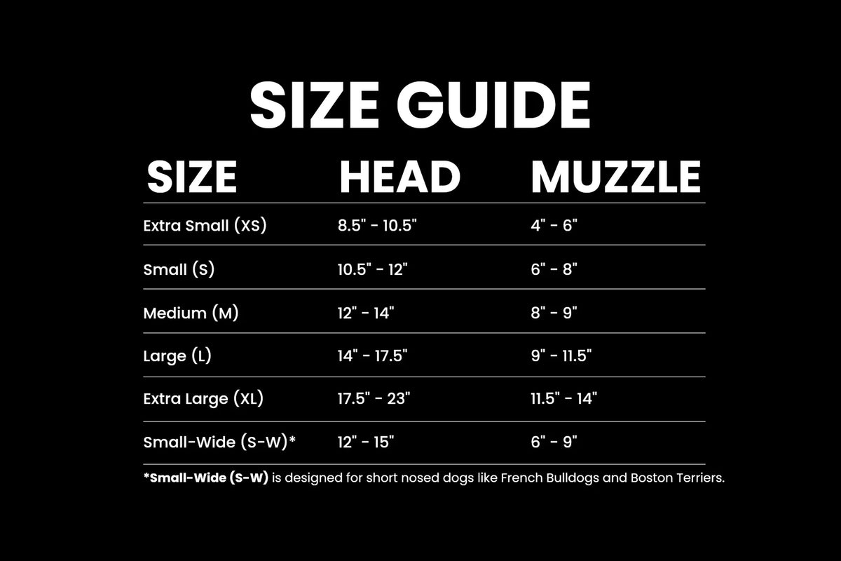 goggle sizes Rex Specs