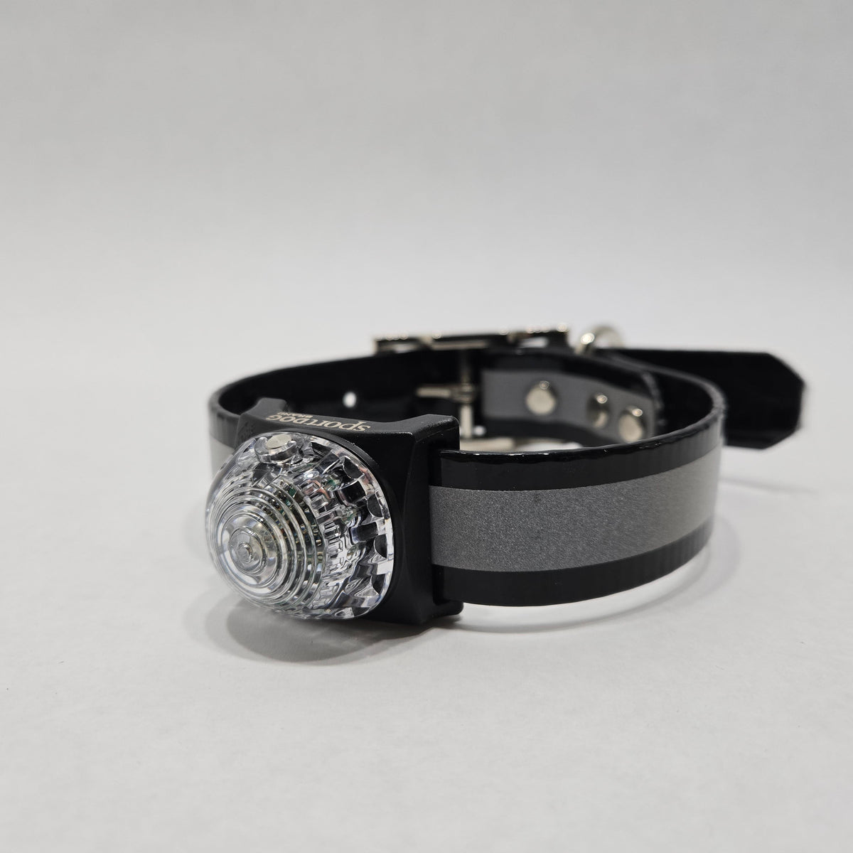 Lion Country Supply LCS Hi-Vis D-Ring Safety Collar and Light Combo – Hunting Dog Supply