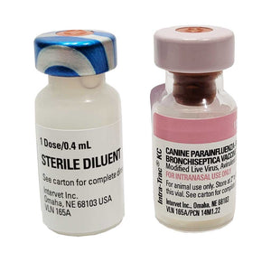 Kennel Cough Vaccine Single Dose