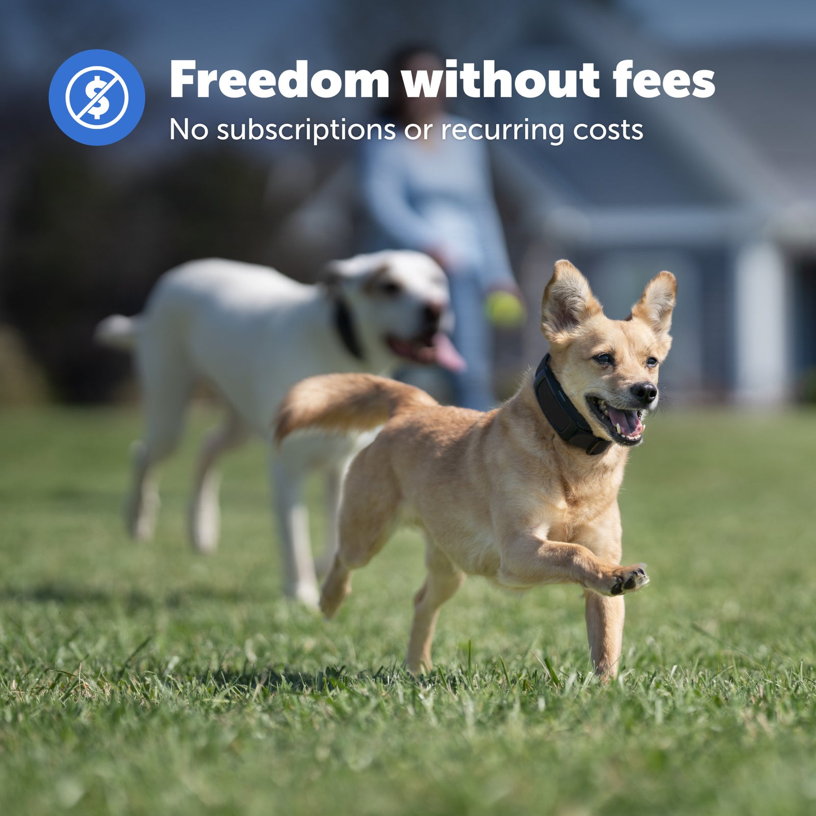 PetSafe® Guardian® GPS Dog Fence - Add a Dog Collar