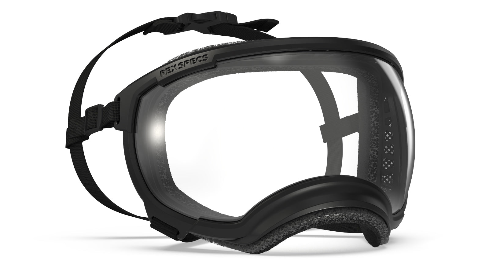Rex Specs