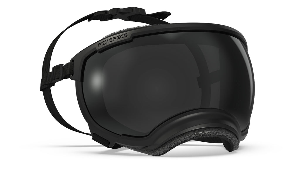 Rex Specs