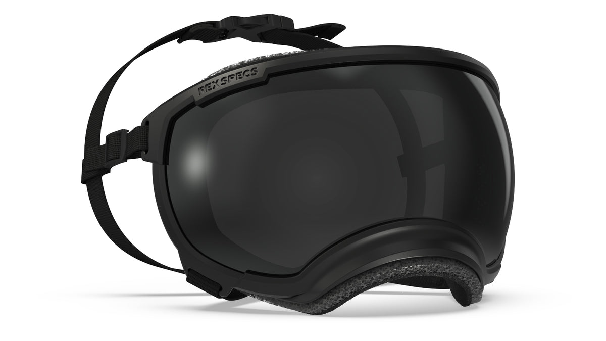 rex specs goggles Rex Specs